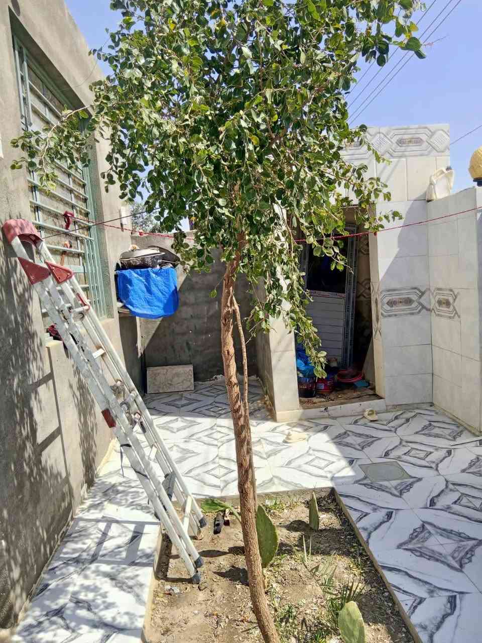 أهلا وسهلا بكم في مجموعة الأمل للعقار 
دار زراعي للبيع في منطقة الصخيين عالحولي بعد عن الحولي ١٠٠
مساحة الدار ٢٠٠م  بلوك عكاده متكون من غرفتين وصاله ومطبخ مع ستقبال مرتب مع صحيات داخليه وخارجيه مع كراج بيت عالي عن الشارع ومرتب السعر ٦٥ 
للتفاوض الاتصال على
***********
[١٠‏/٤، ١٠:٠٦ م] الامل للعقار: التواصل معنا 
على صفحة الفيس بوك ( الامل للعقار) 
او الاتصال على الرقم التالي*********** 

للمزيد من العروض على الفيس بك 
https://www.facebook.com/profile.php?id=100087963616783&mibextid=2JQ9oc

للمزيد من العروض على حسابنا التيليجرام (الامل للعقار)
https://t.me/ameralkabe

للمزيد من العروض على حسابنا الواتساب (الامل للعقار)
https://chat.whatsapp.com/GRFrcEXw0J88CVE83bhb8v  
 رابط التيكتوك
https://www.tiktok.com/@user313313100?_r=1&_t=ZS-95QhiOezDyp
