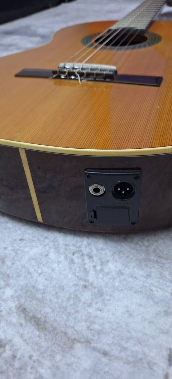 كيتار للبيع كيتار اسباني الهامبرا للبيع c1  بي ايكولايزر اصلي) سعر الجديد بل محلات ٦٣٠ الف بدون ايكولايزر ومو نفسة هم لان من اسبانيا دازي .سعر البيع ٤٠٠ الف وبي مجال ويا جنطة و ثنين كابو و كيبل جك يوجد توصيل الكيتار صناعه يدوية الي يحب يسمع صوته يعلق ادزلة صوته


**إذا كنت صاحب هذا الإعلان وتريد حذفه لأي سبب، رجاءا أرسل رسالة إلى الدعم الفني**