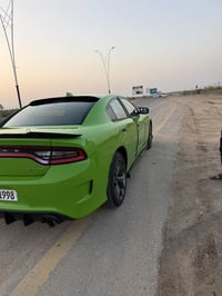 فول مواصفات • ٢٠١٧ • رقم بصره