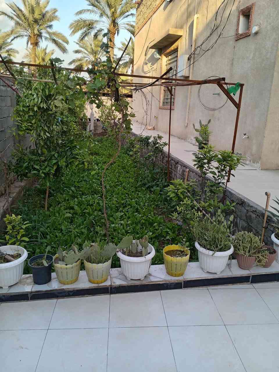 #السلام عليكم بيت للبيع
حله فـــــي السياحي قرب 
المدرسه الامانيه
____
المساحـــــــة // 425م  #طابـــــو زراعـــــي سنـــــد 25 
يتكون البيت من طابقين
#الطابق الاول ⬇️⬇️
غــــــــرف اثـنيــن
 وصالـــــــــة وهـــــــــــول ومطبـــــــــخ ومجمــــــــــع صحيــــــــات وگـــــــــراج وحديقــــــــــة ...
#الطابق الثاني⬇️⬇️
 غرفه واحده 
 ومجمـــــــــع صحيــــــــــات ...

#جدا نظيف بناءه 
# السيراميك جدران والأرضية كاشي 
#
سعر البيت جيد جداً..
للاستفسار اكثر الاتصال على الرقم 
***********
