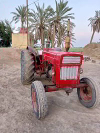 بولندا • مروس • نجف القادسيه