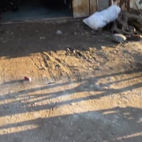 افتتاح قريب • قطع غيار دراجات • تريشات أصلية