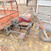 ستوته • الماني • اصولي