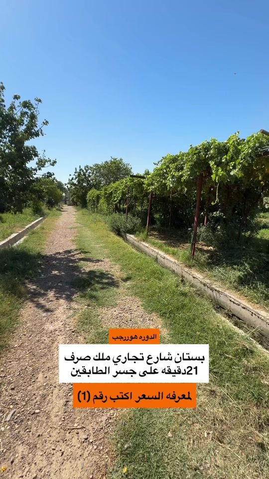 بستان ملك صرف الدوره علي شارع هوررجب الرئيسي ‭***********‬#عقارات_بغداد #عقارات_الدورة #هوررجب #الكراده #بستان 
