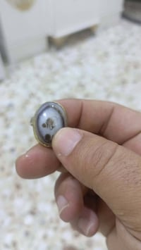 وجه ذيب • محابس