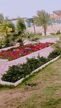 تدريب توحد • فردية بيتية • النجف الاشرف