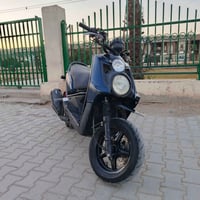 سكنس جبلي • اوراق كامله • مكينة برغي