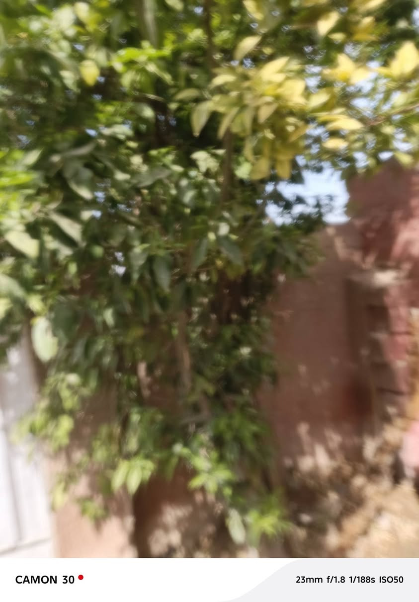 تكنو كامون 30 اخو الجديد نضيف كلش فقط كامرته الخلفيه بيهة شويه غواش الاماميه مابيهة شي 50 ميكابكسل سعره 130 الف


**إذا كنت صاحب هذا الإعلان وتريد حذفه لأي سبب، رجاءا أرسل رسالة إلى الدعم الفني**