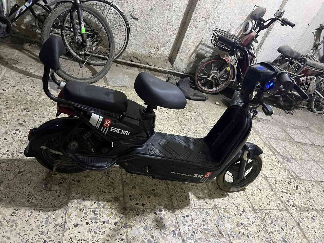 دراجه مديل 24حجم 14 سعردراجه 200بيها مجال لطيبين رقم *********** تواصل واتساب غير متواجد على فيس مكاني بغداد بياع شارع قطر ندى مقابيل رفيده
