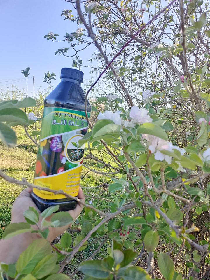 سماد خلطة النور السائلة
الخلطة المتكاملة اللي تخلي الزرع يفور ويخضر بسرعة ويعطي نمو قوي خلال أيام قليلة.

💥 العرض الخاص:
✅ سعر 2لتر  فقط 15 ألف
✅ 3 لتر بـ 20 ألف
✅ 4 لتر بـ 25 ألف
🚚 توصيل مجاني إلى بغداد وجميع محافظات العراق

ليش تختار خلطة النور؟
✔️ منشط نمو قوي
✔️ مزهر للنبات ويزيد الإنتاج
✔️ مجذر يقوي الجذور
✔️ معالج للنبات من الفطريات
✔️ يقلل الأملاح ويحسن التربة

مناسب لـ:
🌴 النخيل
🌳 جميع الأشجار المثمرة
🥬 الخضروات
🌿 النباتات الظلية
🌱 الثيل

⏱️ وخلال 5 أيام فقط تشوف الفرق بعينك!

الخلطة تحتوي على:
🔬 العناصر الصغرى والكبرى
🌿 مواد عضوية مغذية للنبات

📌 طريقة الاستخدام:
1 لتر يخلط مع 100 لتر ماء

📞 للطلب والتوصيل المجاني:
***********
***********

خلطة النور… حياة جديدة لنباتك وإنتاج أوفر بإذن الله 🌱✨
