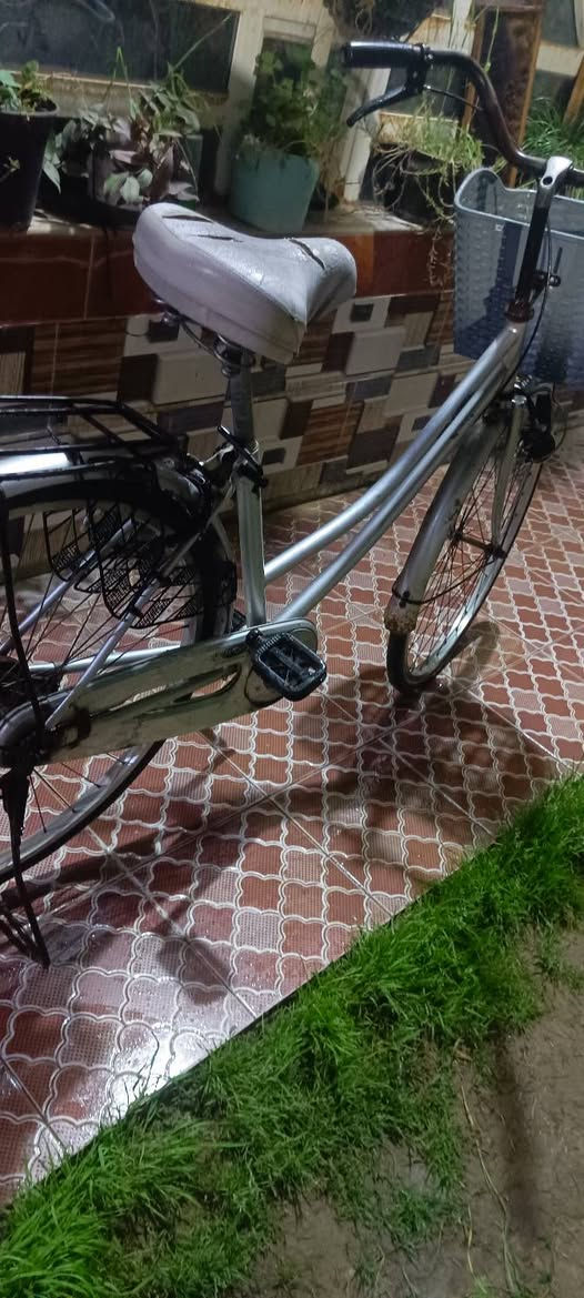 السلام عليكم  متاح بايسكل البيع حجم26 فول نضافه مكاني ديالى شهربان الاحمر


**إذا كنت صاحب هذا الإعلان وتريد حذفه لأي سبب، رجاءا أرسل رسالة إلى الدعم الفني**