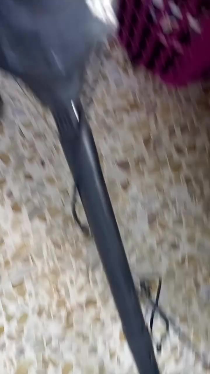 غراض مستخدمة بسعر مناسب اليريد يراسلني خاص


**إذا كنت صاحب هذا الإعلان وتريد حذفه لأي سبب، رجاءا أرسل رسالة إلى الدعم الفني**