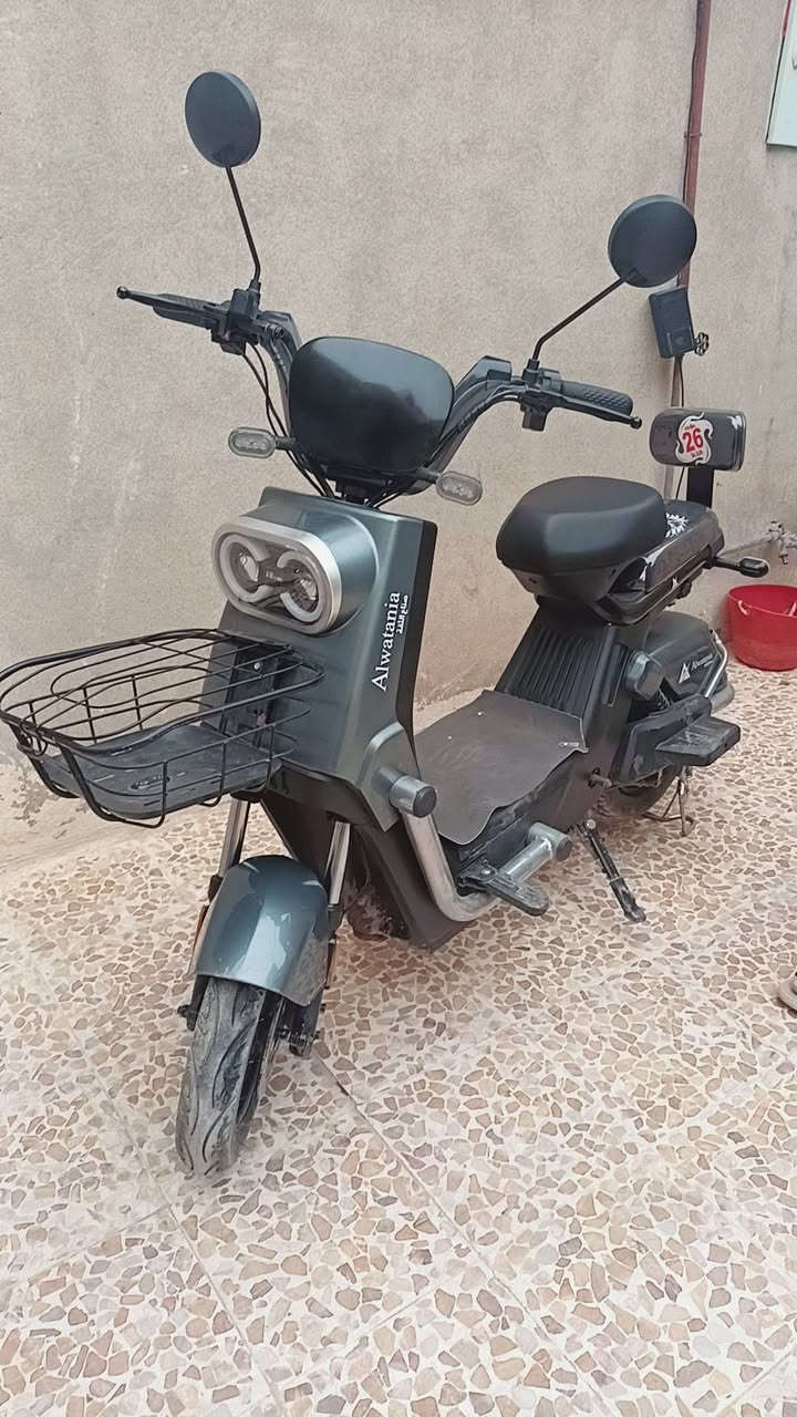 سلام عليكم ماكور شحن اخو الجديد كلو شقال 3نمر بطاريات شرط الماطور جديد السعر 275وبي مجال حك الجيه


**إذا كنت صاحب هذا الإعلان وتريد حذفه لأي سبب، رجاءا أرسل رسالة إلى الدعم الفني**