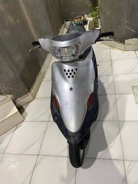 بيجي • نضيفه • فحل