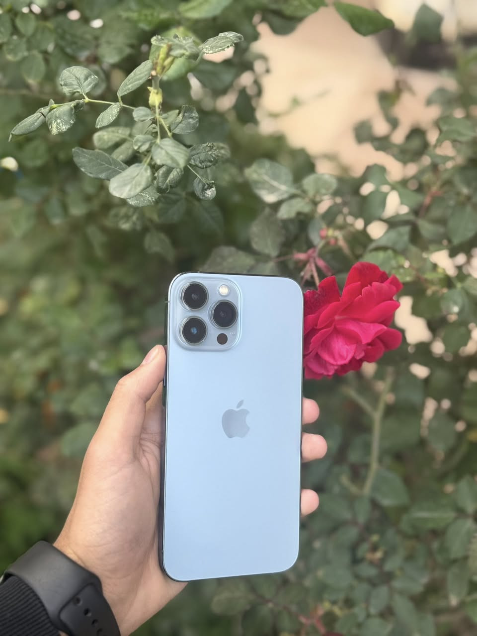 السلام عليكم ايفون 13 برو ماكس ذاكره 512 بطاريه 88 لون بحري مامفتوح بلادي وتربروف تخلي بلمي شرط وضمان اسبوع تاخذه من الباب كامل ملحقات سعر 750 الف عنواني بعقوبة ***********
