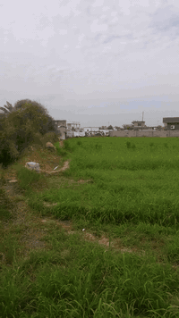 بسم الله الرحمن الرحيم  كاع للبيع
كاع  دونم ونص  زراعي  على شارعين يعني الكاع اله وجهيتين +مي +كهرباء  قرب جامعالتقوىالسعر 175مليون وبيه مجال  الشراي يتصل على  هاذ رقم ***********
