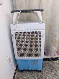 كنفره • شغاله • الحريه