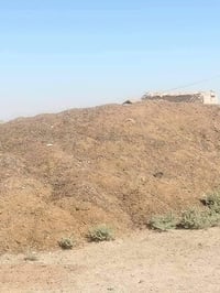 يوجد دمن غنم ودمن هوش اليريد يتصل وبي خير ويدلل توصيل ديالى وبغداد ٠٧٧...