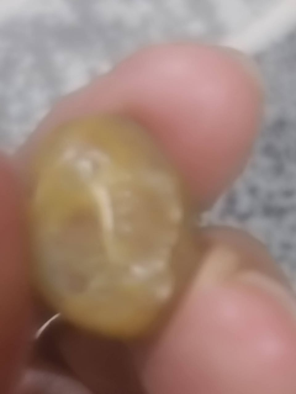 زوعات حيه للبيع قيم واخذ ***********
