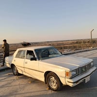 ١٩٨٢ • تعمير جديد • محاويل