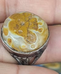 داودي • للعشاق