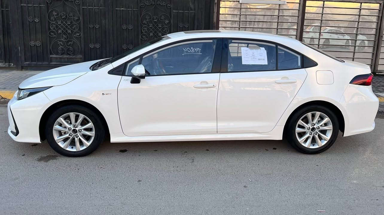 *********** بغداد, العراق
