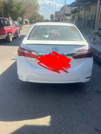 كورلا • ٢٠١٥ • رقم اربيل