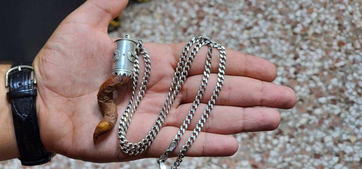 نوادر اللوي الطبيعي، مختوم ختم عام بجلد الغزال والختم داخل الفضة، صياغة يدوية ثقيلة بسلسة فضة ايطالية 
للبيع خاص او ***********
