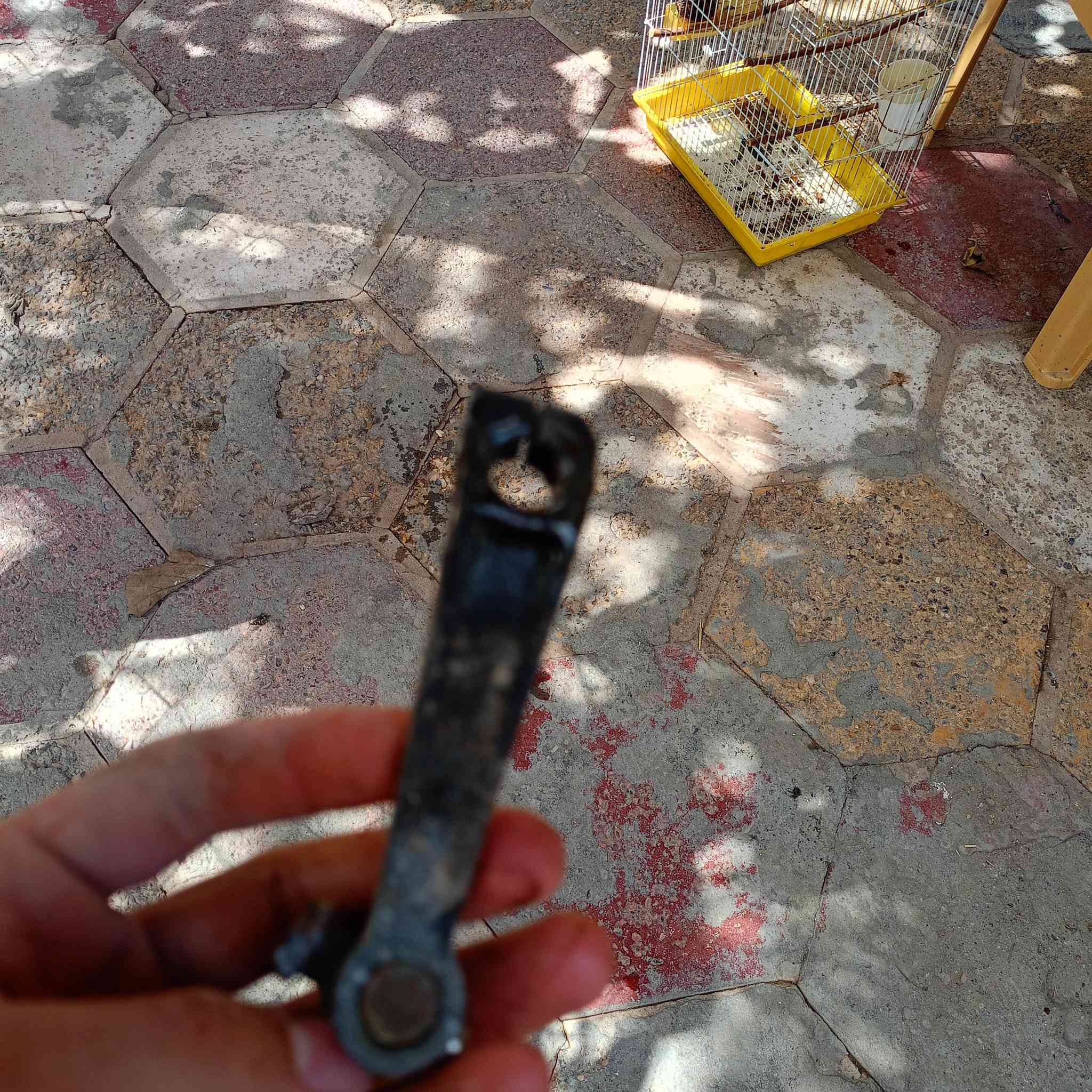 سلام عليكم غراظ سكنس فحل ياباني للبيع عنواني ناصريه سوق الشيوخ لاستفسار عله هذا الرقم ***********
