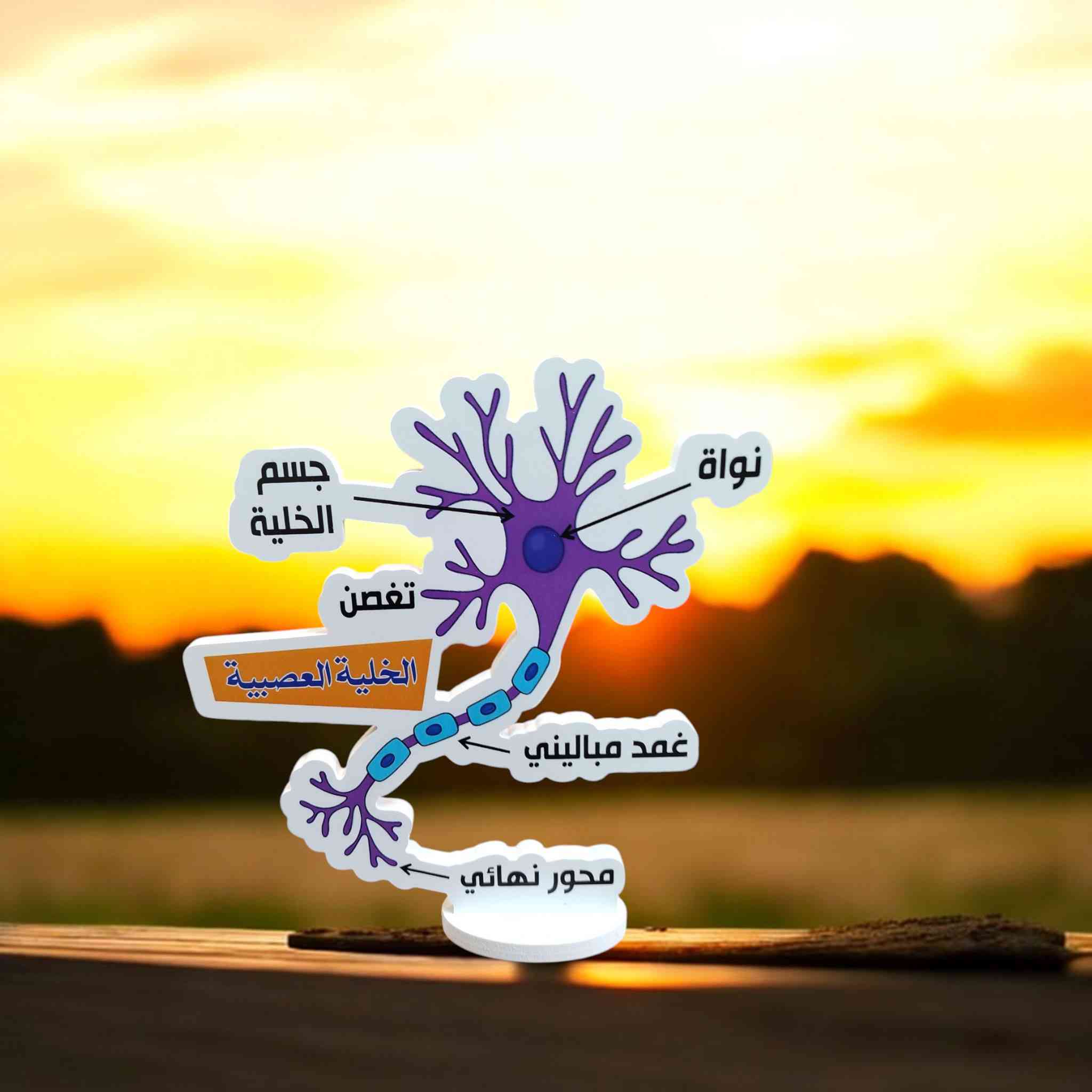 أعمال فوم
لجميع المواد ( أحياء +كيمياء +فيزياء)
متوفره بسعر 5000دينار


**إذا كنت صاحب هذا الإعلان وتريد حذفه لأي سبب، رجاءا أرسل رسالة إلى الدعم الفني**