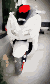 فورزا 012 للبيع 07766983553