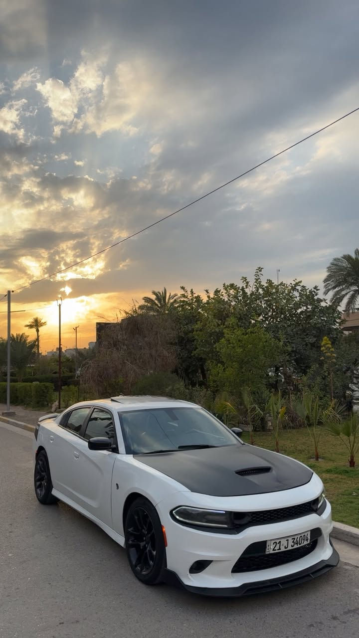 تحيه حب واحترام 🤍

للبيع او المراوس اخوان 🔥

دوج جارجر ار تي دايتونا 2020  DAYTONA R/T‏  
المحرك : 5.7L V8
الحادث :   جاملغ  خلفي فقط والامامي بارد  
الملاحضات ؛

-----
العداد : 55  ميل 
مواصفات : DAYTONA 1/1
فول سلايت 🔥 
لايتات زينون 
رادارات جانبية
كشنات كنتارا كهرباء سايق+ صدر 
كشنات ميموري خزن
شوتة رياضية بلاد مال دايتونا الزركه 
كشنات تدفئة + تبريد + ستيرن هيتر
خلفي تدفئه
سستم صوت 
سوبر تراك باك🏎️🏁
بيها نظام بريفورمس داتا 
ويل دايتونا اصلي
شفتات ستيرن 
شاشه كبير + حساسات وكاميرا
ستيرن كهرباء 
السيارة كلها مختمة دايتونا 
السيارة جديدة جدا واحلى من الصور 
السياره كلشي بيها بلادي 
صوت بلاد شركه بدون لاتفريغ ولاشي 
حته حجر بلاد وبرمجه بلاد 📌
سياره مال بيت 
مكان السيارة    ((  بغداد  ))

رقم سليمانيه تريد تحويل وكاله مو مشكله 🔥

السعر 233 وبيها مجال حك الجيه 

اخوان سياره بلاديه وحلوه وبل خير على الياخذها 
ومسوي ادامه كامله وحته دهن جديد🤍
وحداديه مالتها كذالك 
رقـــم الهــاتــف ؛ 
***********
