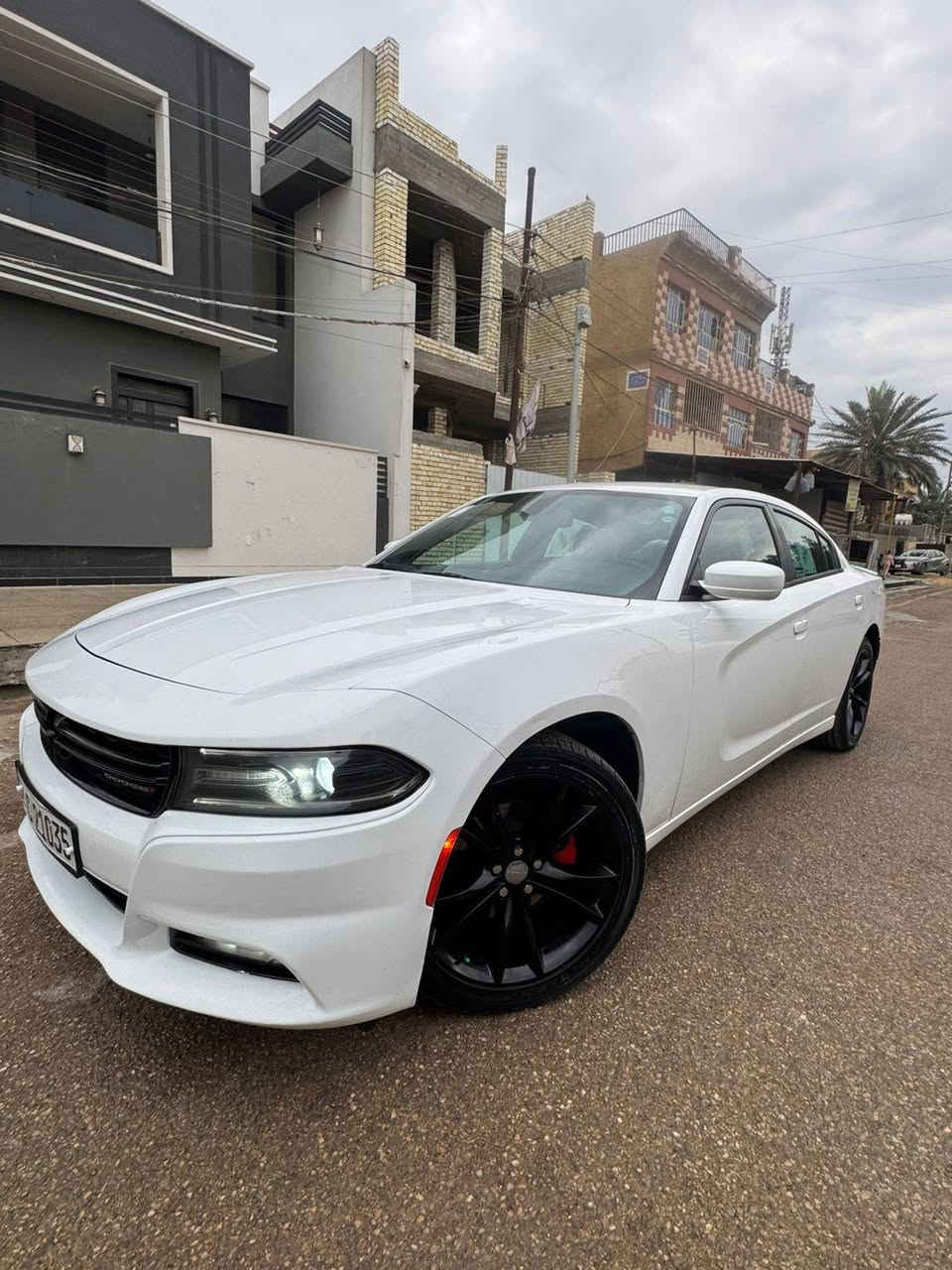 السلام عليكم 🫡
جاجر 2015 كلين 
مكفوله كفاله عامه  
مواصفات سيارة نص فول 
سيارة جديدة بمعنى الكلمه 
مكينه 3600 وضع شركه 
كير طيارة 
صدر امامي خلفي جديد 
تخم تاير جديد 
كشن سائق كهرباء 
تبريد ثلج على وضع شركه 
حساسات خلفيه 

شاشه وكامرة دوارة 
رقم شمالي تحويل ثاني يوم 
رقم سنويه هزة كله جديد
سيارة جديدة بمعنى الكلمه  سعر السيارة 194 وبيها مجال 
مكان سيارة بغداد الزعفرانية 
***********
