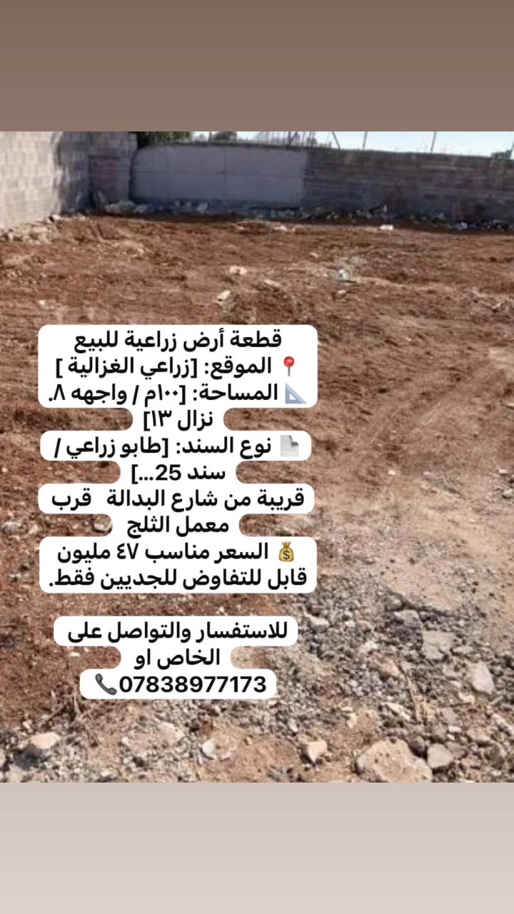 فرصة استثمارية ممتازه


**إذا كنت صاحب هذا الإعلان وتريد حذفه لأي سبب، رجاءا أرسل رسالة إلى الدعم الفني**