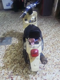 بوليس • كوفه • كفالة نجف