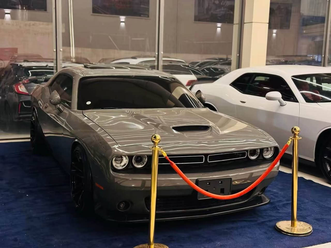 DODGE challenger 2023 RT max كوردي عربي
فوول مواسةفاتة 
سةيارةكي زور جوان بي مةسروف 
تةنها جاملخي و بوند سبوخة بي ژوري  
شانصي هيجي نية 
 ارباك سيستةمة 
رةنكي جيمةنتويي
يةك ديناري مةسرف تيدا نية كير و مةكينة و 
هةموو شتي بةشةرتة 
شوين هةولير 
سعر 215$  كةميك مةجال 
‏Ⓜ️0750 369 9092
DODGE challenger
RT max2023
السيارة حلوة بدون مصرف مابيها نقص 
كير محرك بشرت مامفتوح 
كهربائي بشرت كير و محرك  بشرت 
سيارةبيها 2 قطعة سبخ فقط جاملخ و بوند بدون شاصي 
والسيارة كلش حلوه احله من الصورة
صدر وحداديه كله جديد تاخم تاير و ويل جديد 
المواصفات
سلايد 
شاشه 
بصمة وشغال
٣ كير  سبورت
حساسات امامي وخلفي 
فوليوم وتحديد سرعة 
محرك  ٨ RT
لون سمنتي
كشن كهربائي 
كير ومحرك بشرط
المكان اربيل 
السعر (215$ ورقة   )
‏Ⓜ️0750 369 9092
رجاءً اذا مو مشتري لا تتصل وتعبني أربيل, العراق

