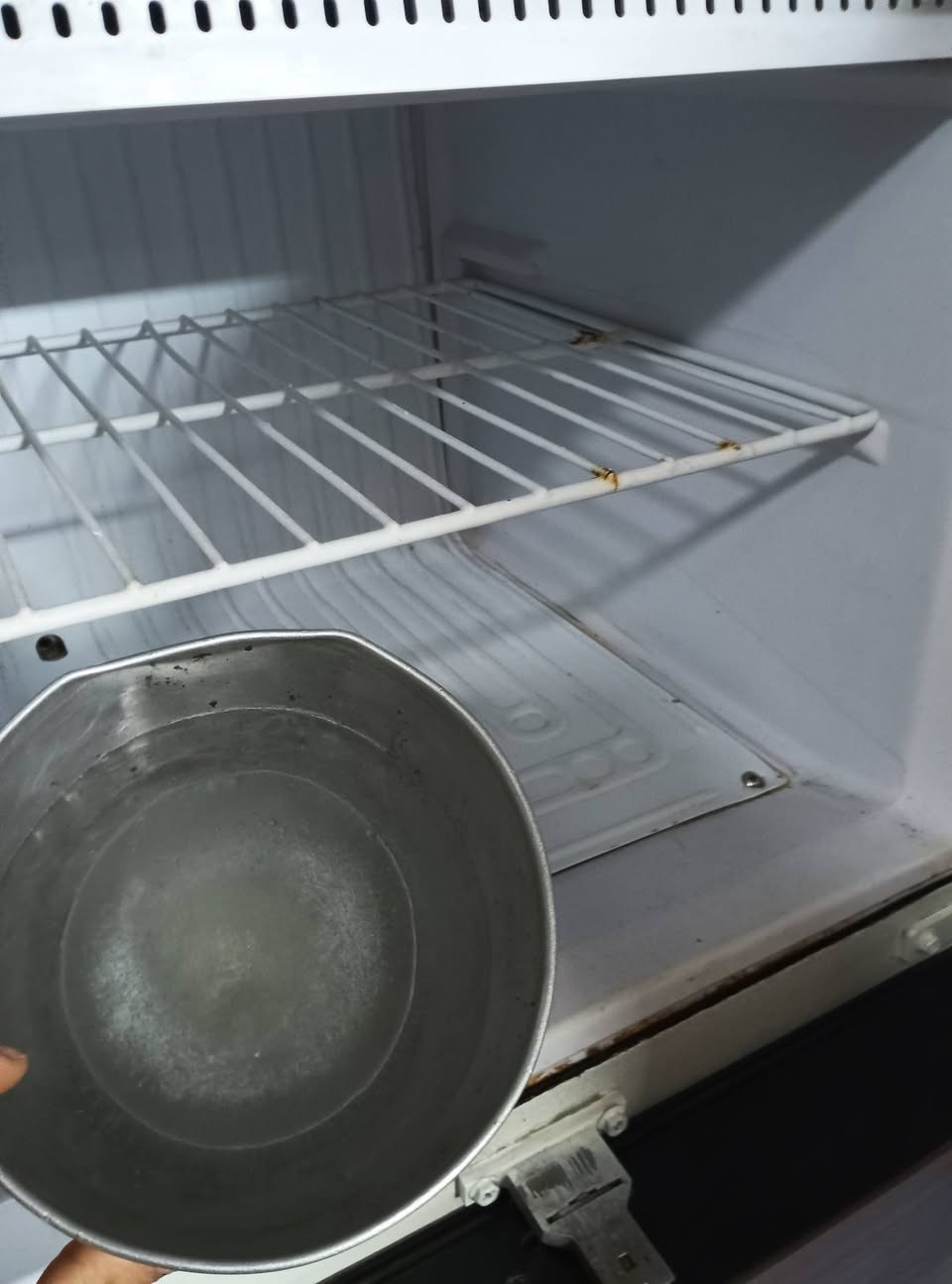 طبلات أربعة زغار وحدة جبيرة مضيفات سعر75مكان حلة ابو غرق هاذة رقمة ***********ثلاجة على فحص تجميد فول حجم وسط وبيهة ضمان سعر120وبيهة مجال لشراي يتصل ***********حلة حي المهندسين قرب مجمع امين طبي
