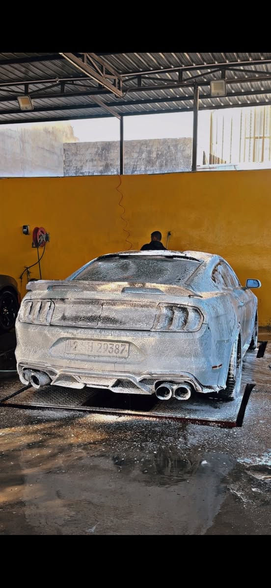 موستنك جيتي كير عادي 2016
تراك بكج هوائيات ومحدثه كت كامل 
رقم سليمانيه تحويل او وكاله 
لايتات هنسي وعدسات + بك لايت سموك متغير 
كشنات كهرباء شاشه جبيره كيجات الوان 
ادامه كامله جديده تخم تاير 
هوايه تفاصيل بيها السياره مصروف عليها هوايه 
صور الحادث بالمنشور والسياره اني بيدي صابغها 
الوحيده سموك محد صابغه ع هل موديل  
بيها نواقص بسيطه كلش 
السعر 135 بيها مجال بسيط 
وسعرها مال ايكو بوست السياره 
شراي خاص او واتس اب موجود 
***********
