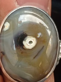 خاتم • مطلوب • مراوس