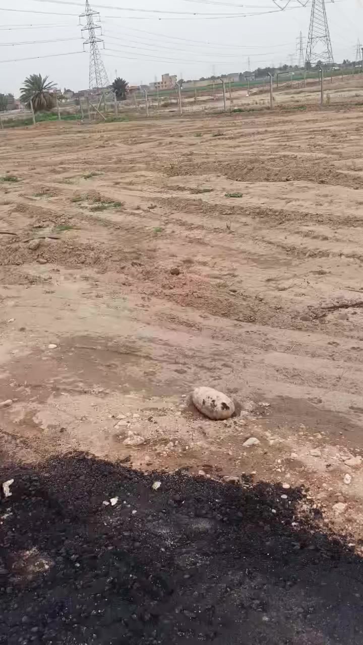 تقسيم جديد
أتصل وبيك خير ودلل 
***********
تحويل مباشر 
@
