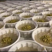 توصيل • تواصل عالخاص • قضاء المناذره والحيره