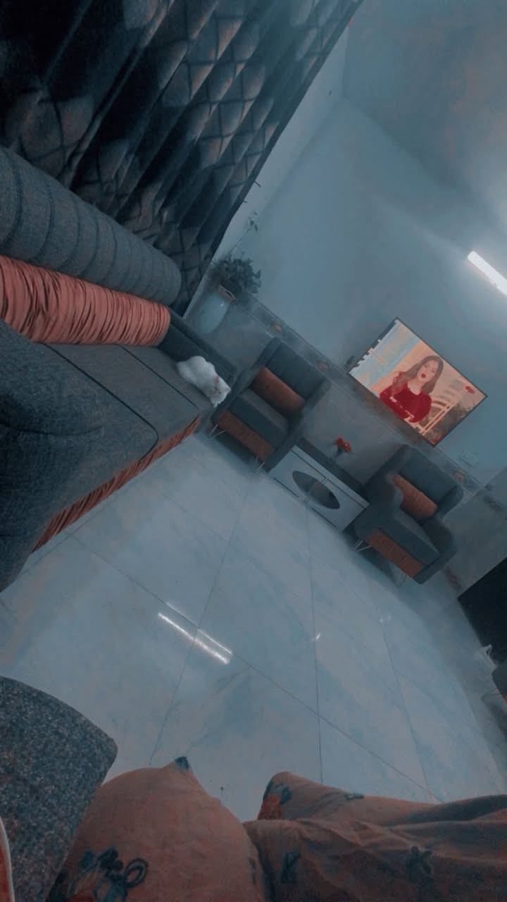 تخم 10 مقاعد تزكام ثقيل للبيع


**إذا كنت صاحب هذا الإعلان وتريد حذفه لأي سبب، رجاءا أرسل رسالة إلى الدعم الفني**