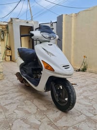 فراشه • ١٤٠ • فحل