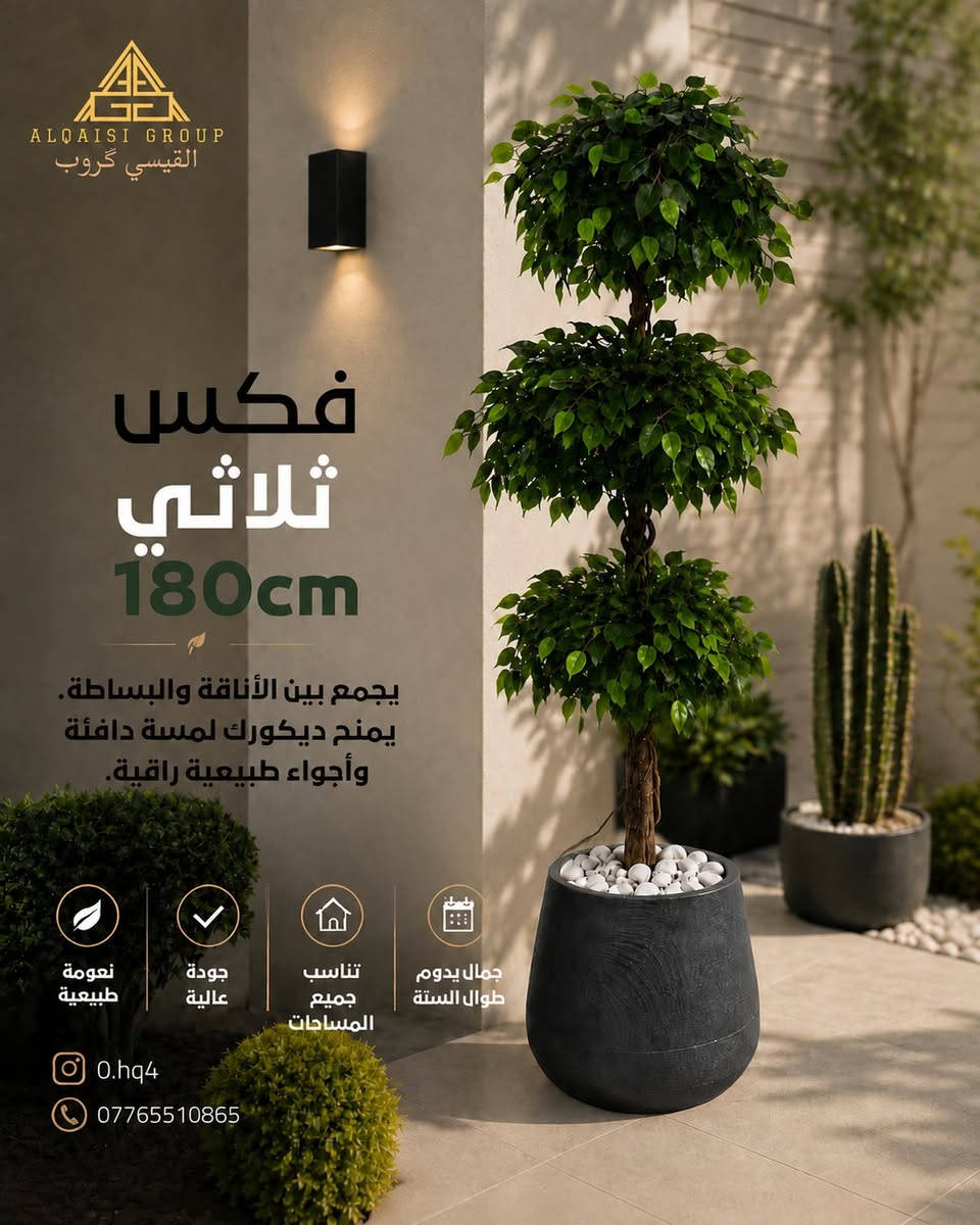 فكس ثلاثي 180cm 🌿

بتصميمه الثلاثي المتناسق وأوراقه الكثيفة ذات المظهر الطبيعي، يمنح المكان حضورًا أنيقًا وإحساسًا بالهدوء، ليكون خيارًا مثاليًا لإضفاء لمسة فاخرة على مختلف الديكورات.

✨ ارتفاع 180 سم بتصميم راقٍ
🌿 أوراق كثيفة وتفاصيل واقعية عالية الجودة
🏡 مثالي للمنازل، المكاتب، الكافيهات، الفنادق، صالات الاستقبال والمعارض
🪴 يضيف جمالًا يدوم طوال السنة دون الحاجة إلى عناية

🚚 التوصيل متوفر داخل بغداد والمحافظات
⭐ خدمة VIP للمشاريع والشخصيات البارزة

📞 ***********
📍 بغداد – الدورة

#حياكم_الله #القيسي_گروب #العالم_الأخضر_عالمنا🌿 #hakam_alqaisi #اول_رسام_رمل_بالعراق
