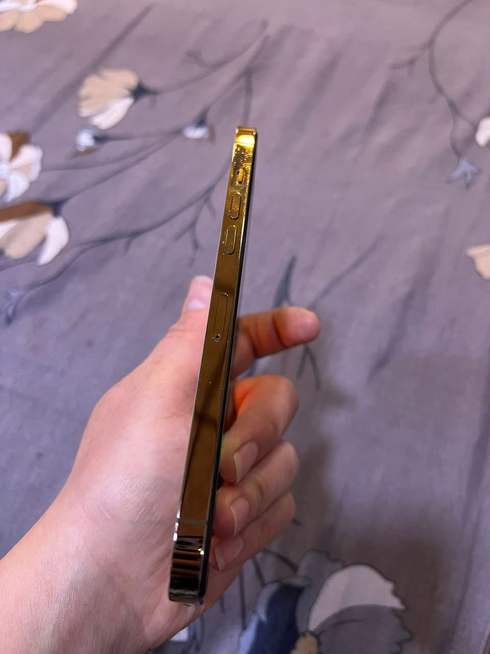 ايفون 12 برو ماكس نضيف بطاريه 98مابي اي ضرر وممبدل بي اي شي السعر 600وبي مجال


**إذا كنت صاحب هذا الإعلان وتريد حذفه لأي سبب، رجاءا أرسل رسالة إلى الدعم الفني**