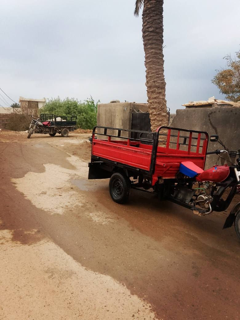 ستوته دايون اوراق كامله تعمير جديد محرك خير من الله شغاله السعر 650 وبيها مجال حق الجيه العنوان بغداد ناحيه الرشيد اليوسفيه ‏‪***********‬‏ للمعلومه كلها شغاله بس عوسها ربط
