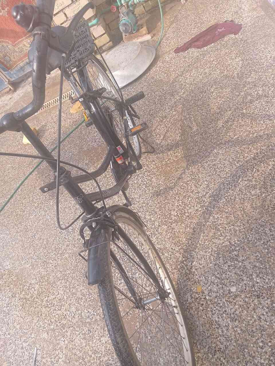 سلام عليكم باسكل للبيع حجم 26 بريكات ثنين شغالات باسكل خفيف حيل لسعر 75 وبي مجال


**إذا كنت صاحب هذا الإعلان وتريد حذفه لأي سبب، رجاءا أرسل رسالة إلى الدعم الفني**