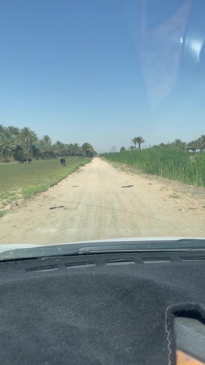 دوانم للبيع طابو 25 تحويل اسهم بس من المشتري في نهر السلام يبعدن عن طريق طويريج 1 كيلو للمعلومات اتصال الواجهه   تريد الف ينباع تريد 500 ينباع /*********** /***********

