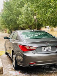 سوناته • ٢٠١٢ • وارد أمريكي