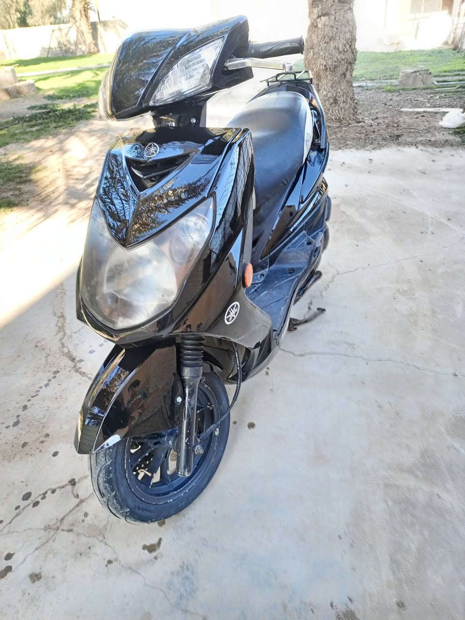 .
للبيع سكنس فحل نوزل خطين موديل 2011 طلاعات دشبول 3الوان مكينة بلادية لا دخانة و لا صوت شلعة و معدل بيهة ويل كب رياضي و هاوزن رياضي سلف رياضي يدات رياضي كلهن بلاديات كهربائيات كلهة شغالة دبلات جدد السعر700 مكاني بغداد الشعلة الرقم*********** واساب فقط
